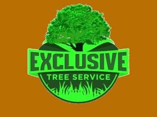 affordable-tree-removal-service-free-estimates