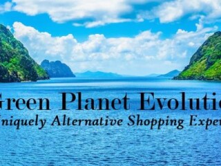 ecommerce-website-for-sale